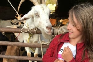 Bohemian Uplands: Garnet panning, Farm & Local Lunch&Beer