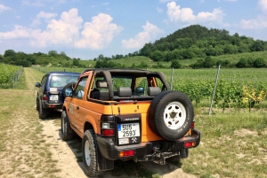 Bohemian Uplands: Garnet panning, Farm & Local Lunch&Beer