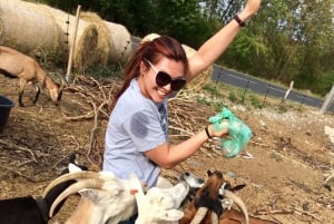 Bohemian Uplands: Garnet panning, Farm & Local Lunch&Beer