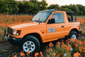 Bohemian Uplands: Garnet panning, Farm & Local Lunch&Beer