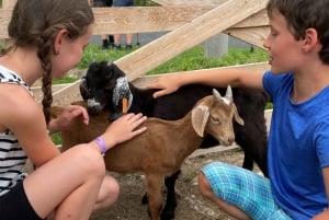 Bohemian Uplands: Garnet panning, Farm & Local Lunch&Beer