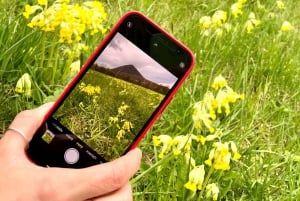 Bohemian Uplands: Garnet panning, Farm & Local Lunch&Beer