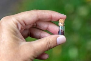 Bohemian Uplands: Garnet panning, Farm & Local Lunch&Beer