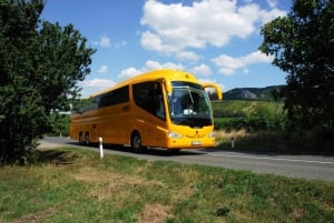 Prague: Bus Transfer Between Prague Airport and the City