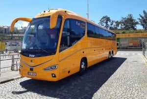 Prague: Bus Transfer to/from Dresden Center