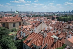 Prague: Castle Grounds & Highlights Walking Tour small-group