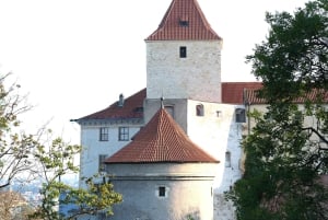 Praga: Entradas y Audio del Castillo, Museo Nacional y Ayuntamiento