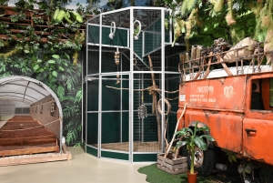 Prague : billet pour la visite de la chocolaterie Chocotopia + atelier