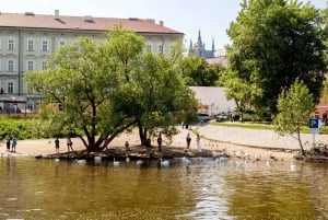 Prague Cruise: 1-Hour on the River Vltava