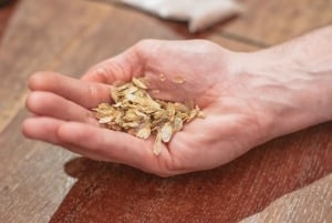 Praha: Tsjekkisk ølsmaking med snacks