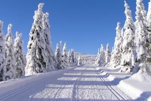 Prague: Day trip to Krkonoše Mountains