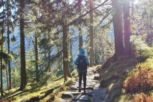 Prague: Day trip to Krkonoše Mountains