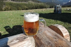 Prague: Day trip to Krkonoše Mountains