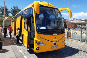 Praha: Enkel bussreise til/fra Karlovy Vary