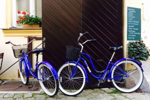 Prague: Electric Bike Rental with Helmet, Lock, and Map