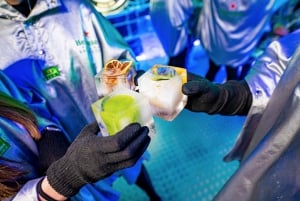 Praga: Biglietto d'ingresso all'Ice Pub di Praga con opzione nightclub