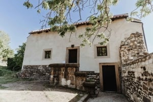 Prague : exposition « L'ascension et la chute de Vyšehrad »