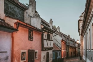 Prag: Heldagstur med sightseeing, krydstogt og frokost