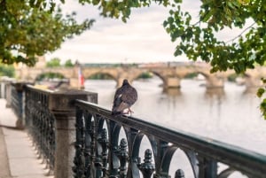 Praga Grand 2,5 ore + 2 ore di tour a piedi esterno