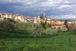 Prague: Half-Day City Highlights Walking Tour