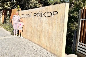 Prague: Half-Day City Highlights Walking Tour