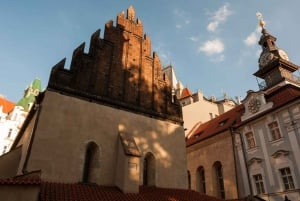 Prague Half Day Private Guided Tour by Car or Foot