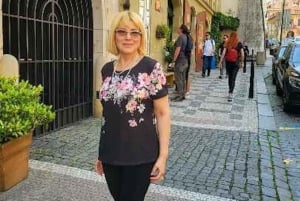 Prague: Highlights of Prague Private Half-Day Tour by Car