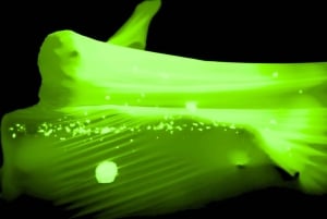 Prague: Underground Black Light Theatre Interactive Show