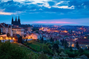 Praga em um dia: tour particular de 7 horas