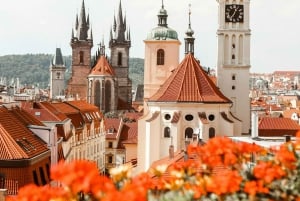 Praga em um dia: tour particular de 7 horas