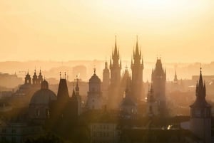 Praga em um dia: tour particular de 7 horas