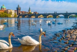Prague: MegaCombo Tickets with Castle, Cruise & Walking Tour