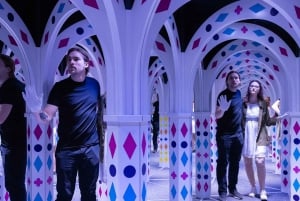 Prague: Mirror Maze Entry Family Ticket