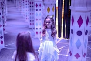 Prague: Mirror Maze Entry Family Ticket