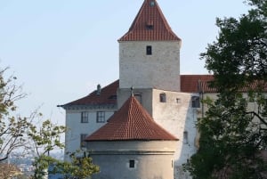 Praag: Audiogids van het Praagse Burchtcomplex Smartphone