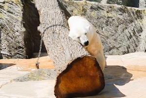 Prague : L'audioguide du zoo de Prague avec billet électronique