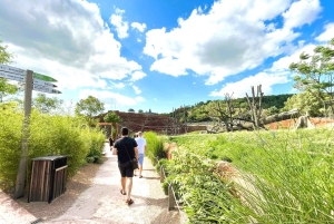 Prague : L'audioguide du zoo de Prague avec billet électronique