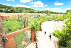 Prague : L'audioguide du zoo de Prague avec billet électronique