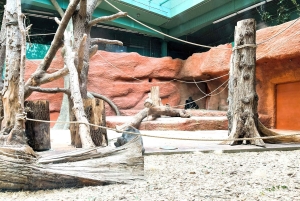 Prague : L'audioguide du zoo de Prague avec billet électronique