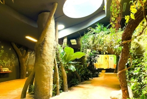 Prague : L'audioguide du zoo de Prague avec billet électronique