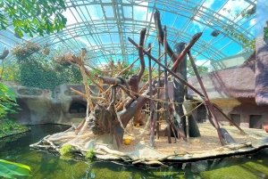 Prague : L'audioguide du zoo de Prague avec billet électronique