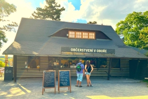 Prague : L'audioguide du zoo de Prague avec billet électronique