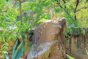 Prague : L'audioguide du zoo de Prague avec billet électronique