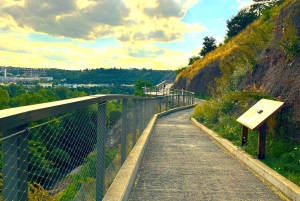 Prague : L'audioguide du zoo de Prague avec billet électronique