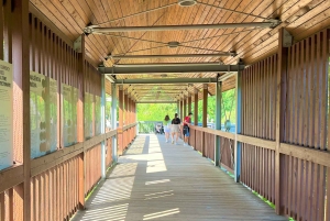 Prague : L'audioguide du zoo de Prague avec billet électronique