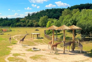Prague : L'audioguide du zoo de Prague avec billet électronique