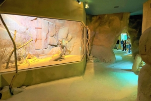 Prague : L'audioguide du zoo de Prague avec billet électronique