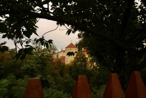 Prague: Private All Inclusive Tour