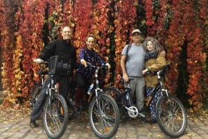 Prague: Private Alternative and Historical e-Bike Tour