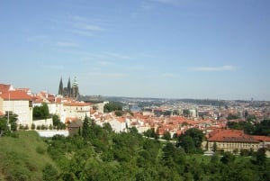 Prague: Private City Tour by Minivan